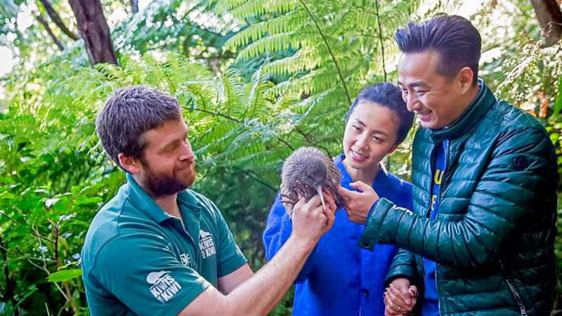 Join the award-winning team at E-ko Tours on their signature Marlborough Sounds dolphin & wildlife cruise!